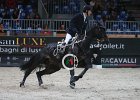 Twomey_Royale du Rouet_Verona2014_SS7_6876.jpg : FIERA CAVALLI 2014, Royale du Rouet, Twomey Billy, foto di Stefano Secchi ©